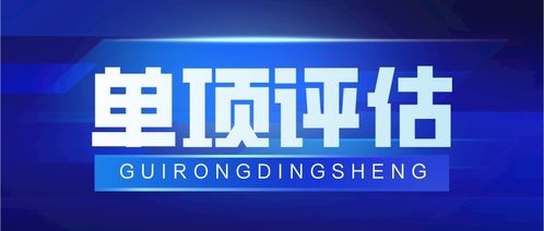 四川宜宾贵荣鼎盛 专业知识产权评估，赋能企业无形资产价值实现